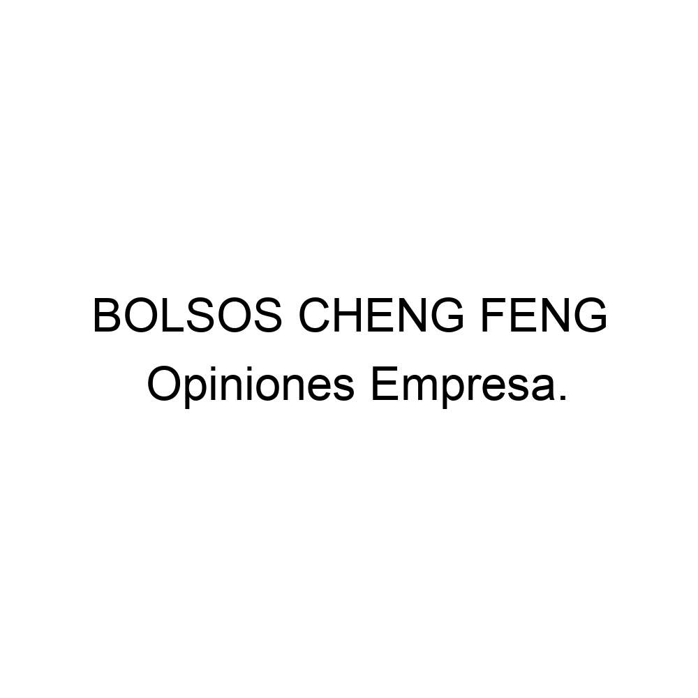 Comerciante Maravilloso Tomar medicina Opiniones BOLSOS CHENG FENG, ▷ 965560087