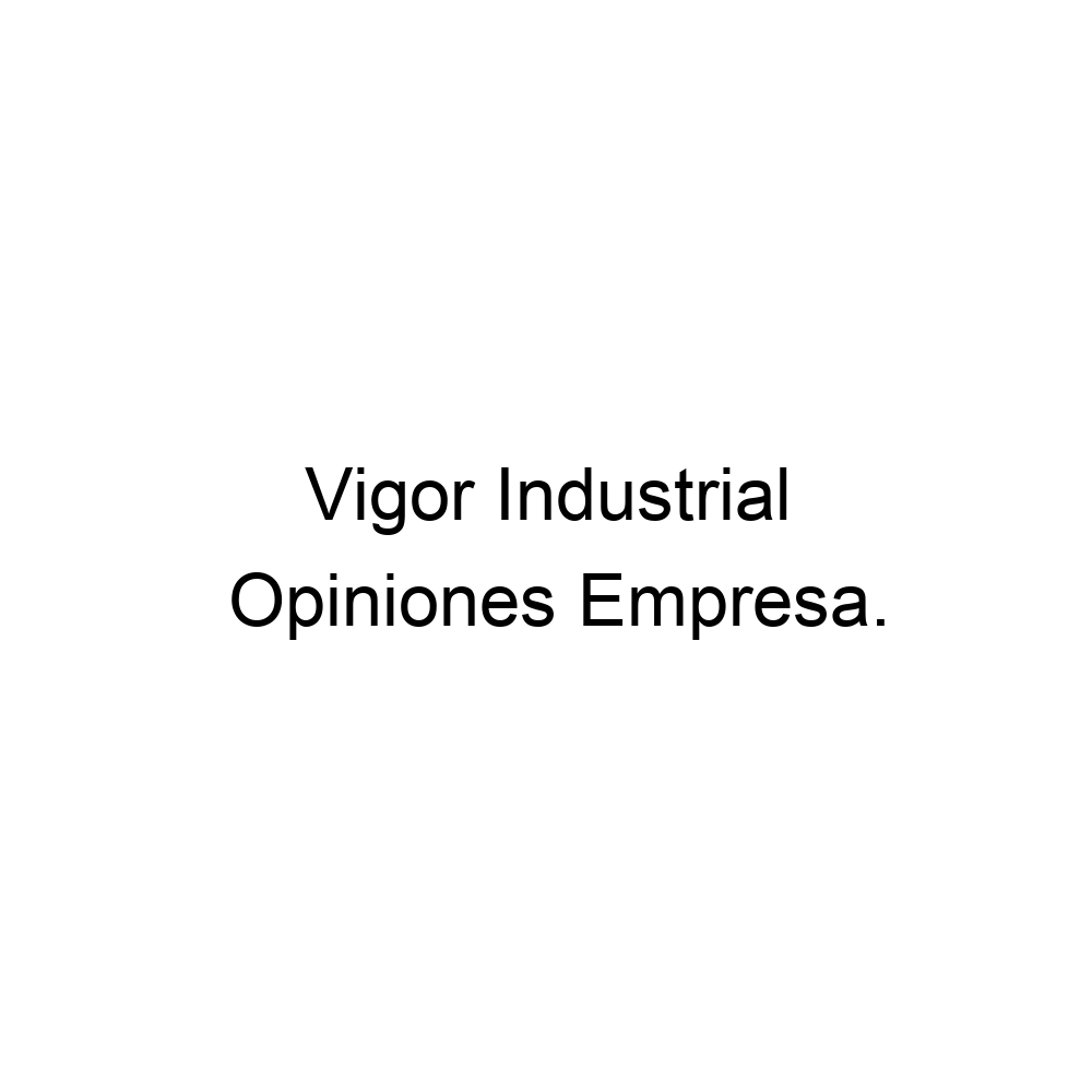 Opiniones Vigor Industrial, 925803215
